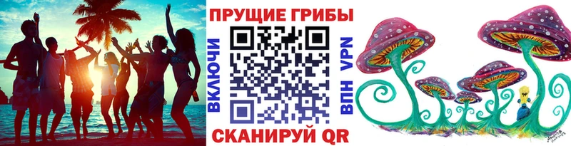 купить наркоту  Вуктыл  Псилоцибиновые грибы Psilocybe 